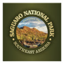 Search for saguaro national park posters Arizona national parks