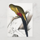 Search for lear postcards Vintage