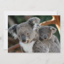 Search for australia thank you cards bear