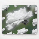Search for digital collage electronics Nature