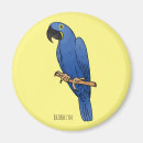 Search for macaw magnets Bird
