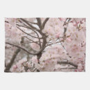 Search for sakura photography Beautiful