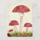 Search for vintage mushrooms postcards Watercolor