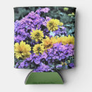 Search for phlox Flower garden