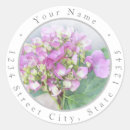 Search for pink hydrangea return address labels Purple