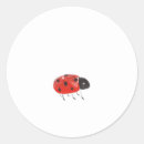 Search for sweet ladybug stickers Cute