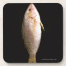 Search for bass coasters Animal