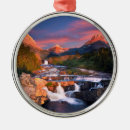 Search for montana christmas tree decorations Nature