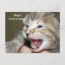 Search for helping postcards Cat