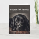 Search for black labrador retriever birthday cards Funny