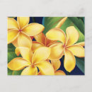 Search for makena postcards Hawaii