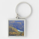 Search for pass key rings Nature
