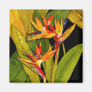 Search for birding magnets Botanical