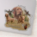 Search for vizsla dog stickers Hunting