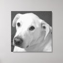 Search for innocent canvas prints Photography