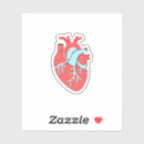 Search for heart surgeon stickers Doctor