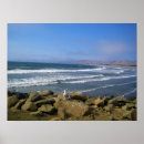 Search for morro posters Ocean