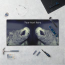 Search for parrots electronics African grey