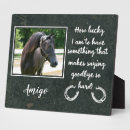 Search for pet memorial plaques Remembrance