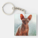 Search for sphynx cat key rings Kitty