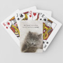 Search for furry playing cards kitten