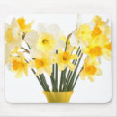 Search for easters day electronics Daffodil