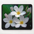 Search for plumeria mousepads Frangipani