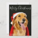Search for cute simple christmas cards Stylish