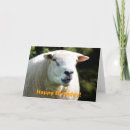 Search for rams cards Cute