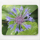 Search for cornflower mousepads Floral