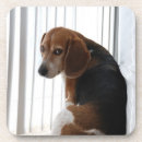 Search for beagle barware Hound