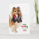 Search for sheepdogs cards Shelties