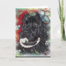 Search for ocassions cards Blank