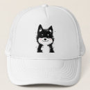 Search for fluffy white hats Pet