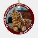 Search for cute dog christmas tree decorations Animal lover