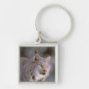 Search for ears key rings Wild