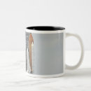 Search for rotating mugs Kennedy space centre