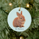 Search for childrens christmas tree decorations Animals