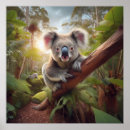 Search for koala bear posters Cute