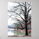 Search for limb photography Tree