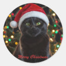 Search for santa hat christmas stickers Black cat