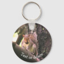 Search for nut rounded key rings Squirrel