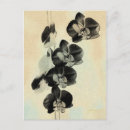 Search for panel photography Flowers