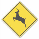 Search for whitetail stickers Hunter