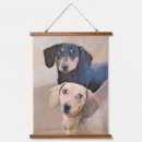 Search for dachshund art Doxie