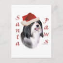 Search for havanese dog cards Breed