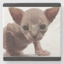 Search for ugly barware Cat