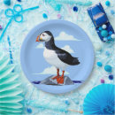Search for puffin plates Cute