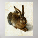 Search for hare posters Albrecht