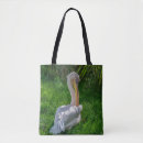 Search for pelican bags Wildlife